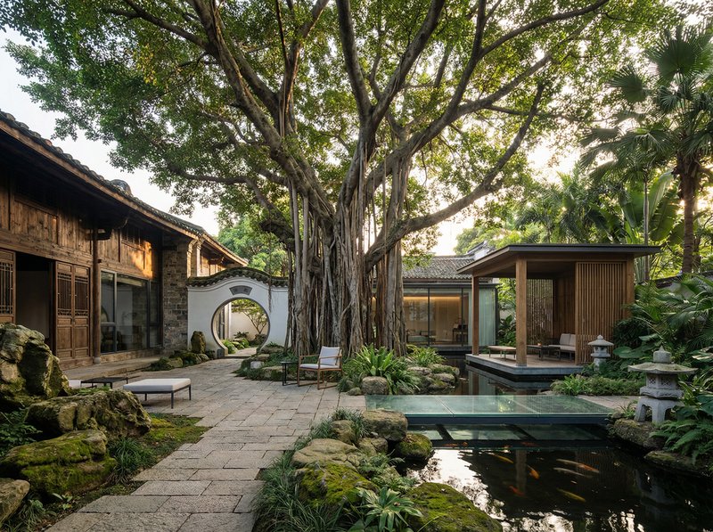 丝瓜视频获奖视频：古榕传奇